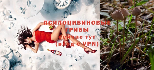 прущие крисы Михайлов