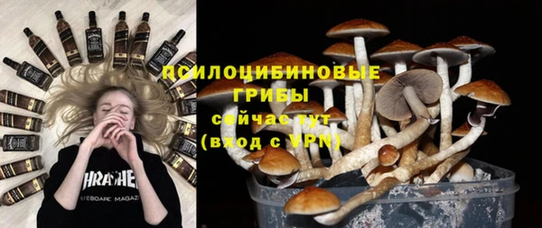 apvp Михайловка