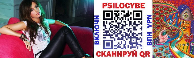 что такое Ардон Псилоцибиновые грибы Magic Shrooms